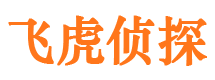 同江市私家侦探